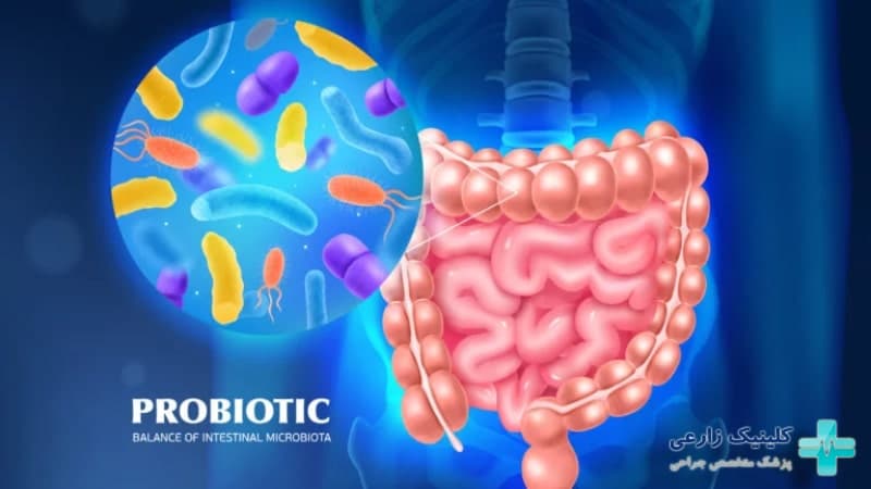 پروبیوتیک چیست | علائم کمبود + نقش آن در سلامت روده