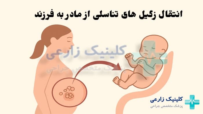 تصویر راه های انتقال زگیل تناسلی در زنان به نوزاد